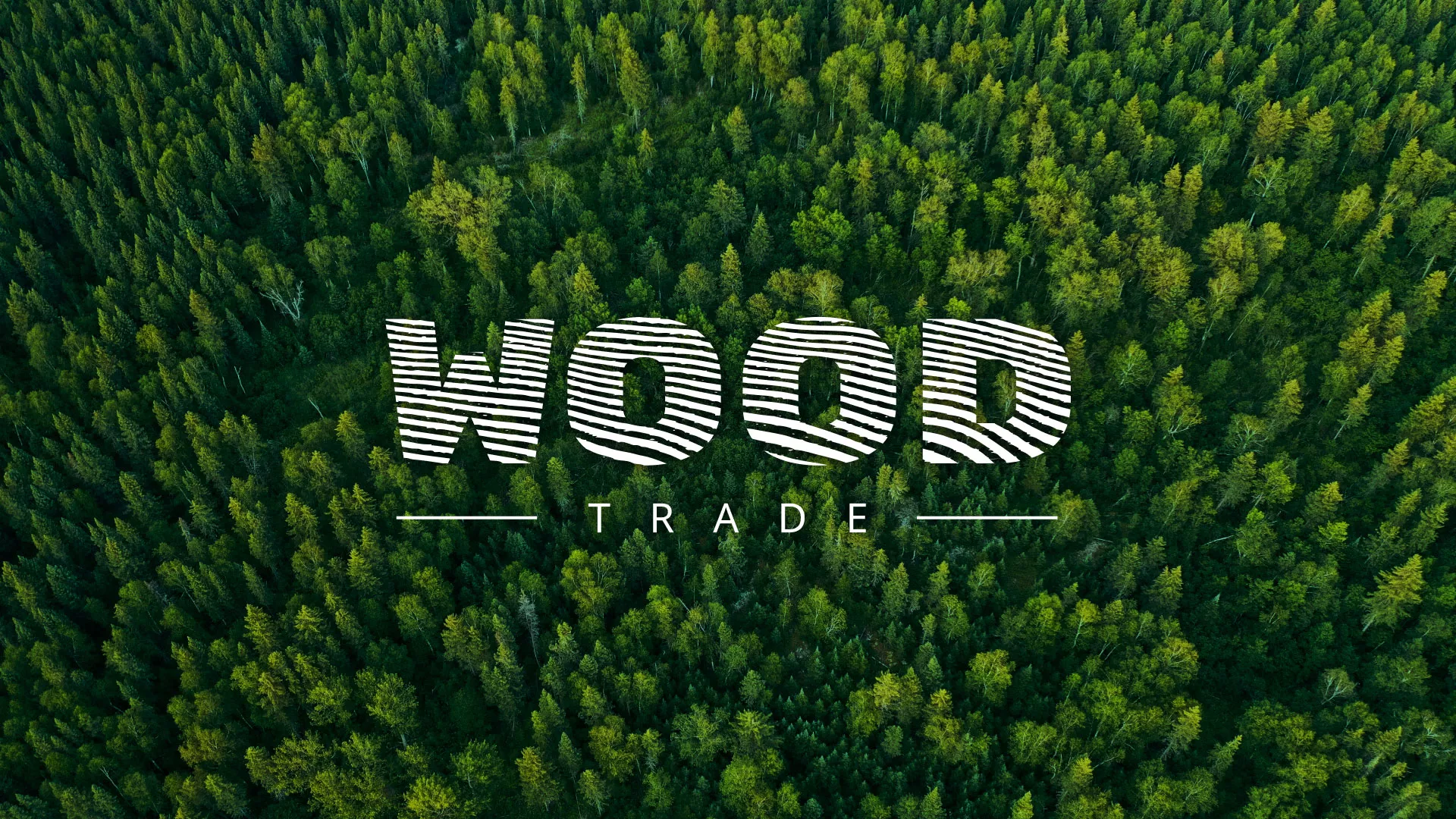 Разработка интернет-магазина компании «Wood Trade» в Находке
